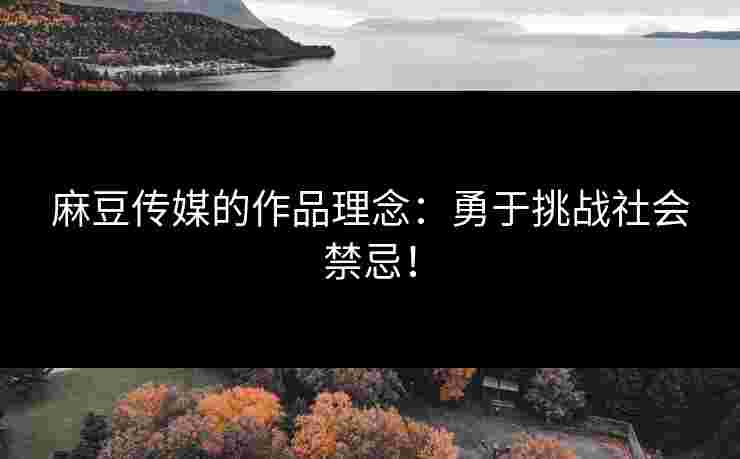 麻豆传媒的作品理念：勇于挑战社会禁忌！