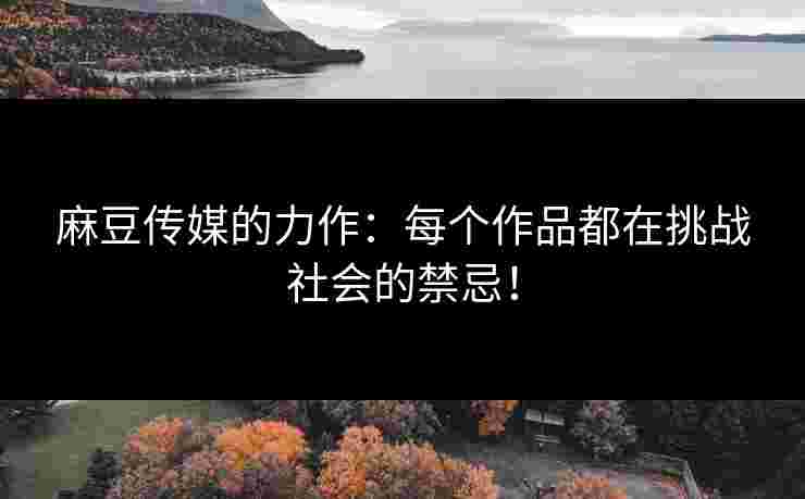 麻豆传媒的力作:每个作品都在挑战社会的禁忌!