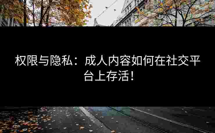 权限与隐私:成人内容如何在社交平台上存活!