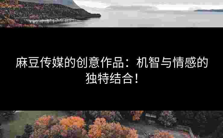 麻豆传媒的创意作品：机智与情感的独特结合！